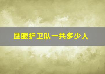 鹰眼护卫队一共多少人