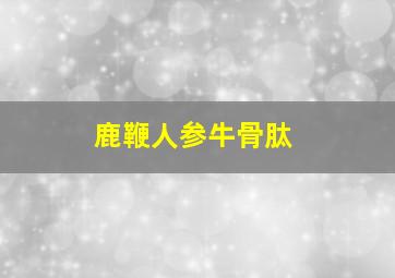 鹿鞭人参牛骨肽