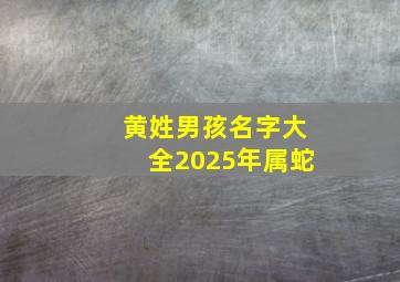 黄姓男孩名字大全2025年属蛇