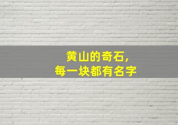 黄山的奇石,每一块都有名字