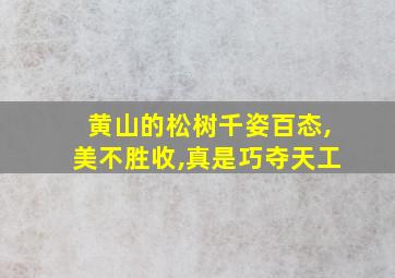 黄山的松树千姿百态,美不胜收,真是巧夺天工