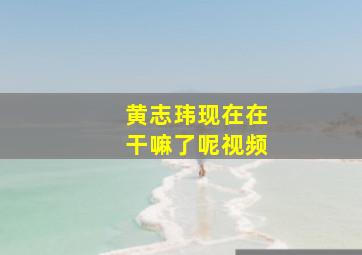 黄志玮现在在干嘛了呢视频