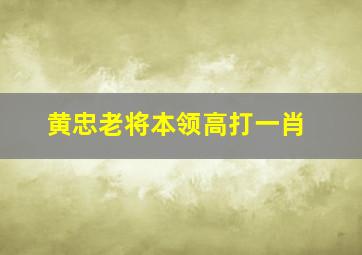 黄忠老将本领高打一肖