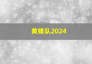 黄蜂队2024