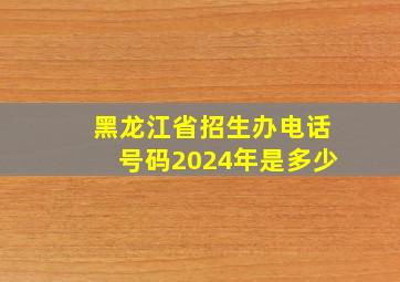 黑龙江省招生办电话号码2024年是多少