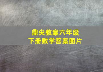 鼎尖教案六年级下册数学答案图片