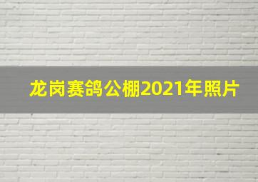 龙岗赛鸽公棚2021年照片