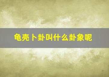 龟壳卜卦叫什么卦象呢