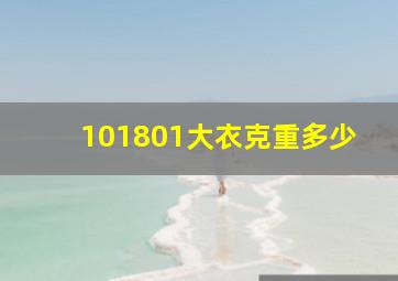 101801大衣克重多少