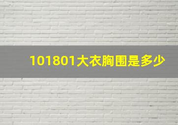 101801大衣胸围是多少