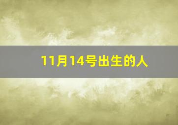 11月14号出生的人