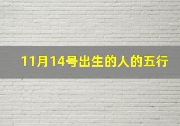 11月14号出生的人的五行