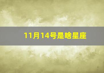 11月14号是啥星座