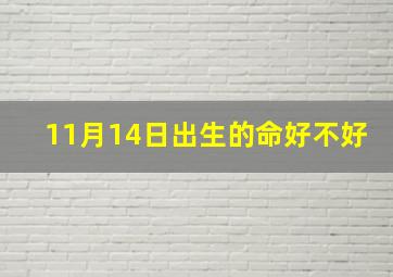 11月14日出生的命好不好