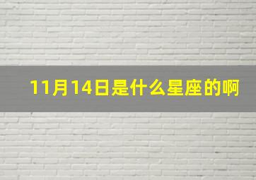 11月14日是什么星座的啊