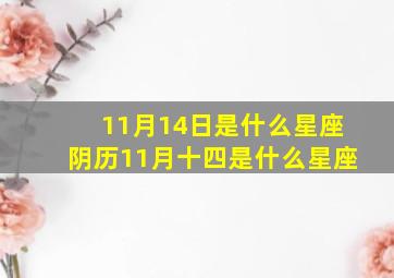 11月14日是什么星座阴历11月十四是什么星座