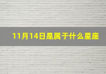 11月14日是属于什么星座