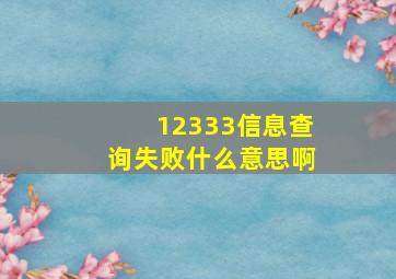 12333信息查询失败什么意思啊