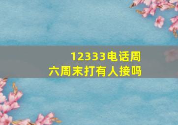 12333电话周六周末打有人接吗