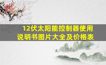 12伏太阳能控制器使用说明书图片大全及价格表