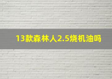 13款森林人2.5烧机油吗