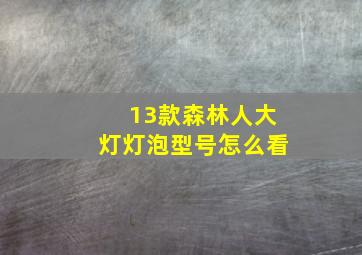 13款森林人大灯灯泡型号怎么看