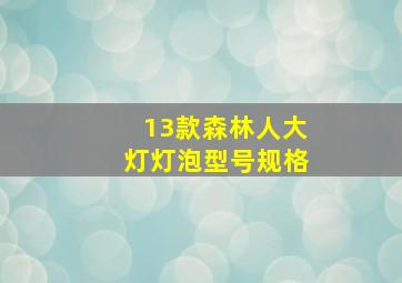 13款森林人大灯灯泡型号规格