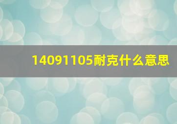 14091105耐克什么意思