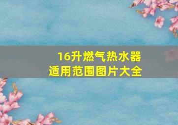 16升燃气热水器适用范围图片大全