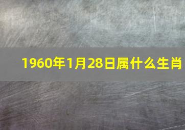 1960年1月28日属什么生肖