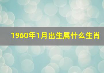 1960年1月出生属什么生肖