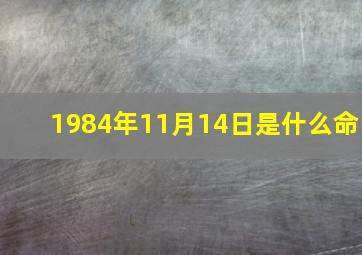 1984年11月14日是什么命