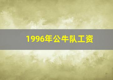 1996年公牛队工资