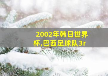 2002年韩日世界杯,巴西足球队3r