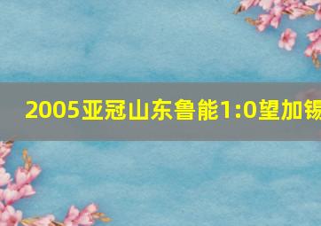 2005亚冠山东鲁能1:0望加锡