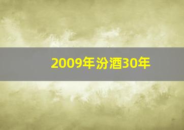 2009年汾酒30年