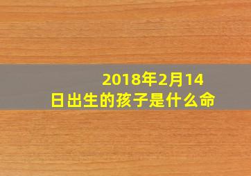 2018年2月14日出生的孩子是什么命