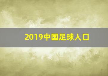 2019中国足球人口