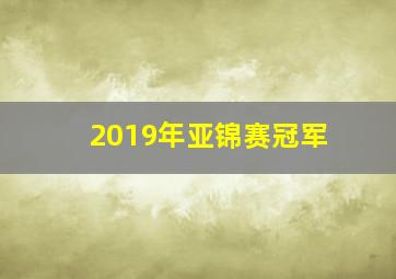 2019年亚锦赛冠军