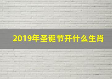 2019年圣诞节开什么生肖