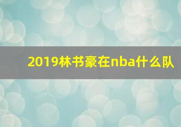 2019林书豪在nba什么队