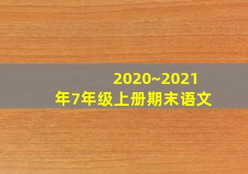 2020~2021年7年级上册期末语文