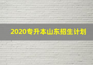 2020专升本山东招生计划