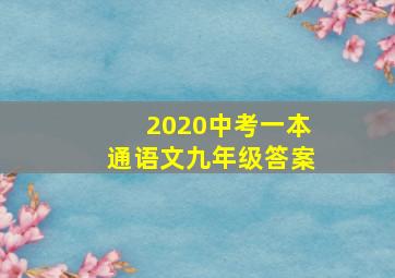 2020中考一本通语文九年级答案