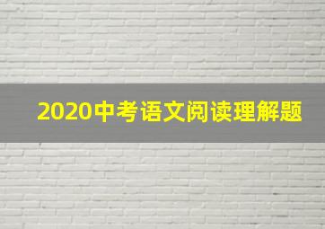 2020中考语文阅读理解题