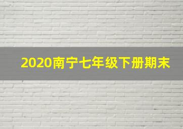 2020南宁七年级下册期末