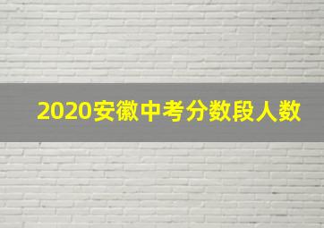 2020安徽中考分数段人数