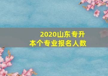 2020山东专升本个专业报名人数