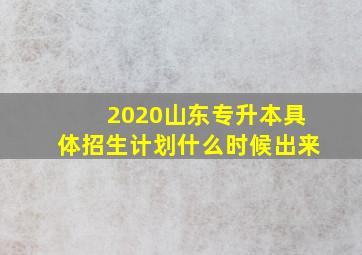 2020山东专升本具体招生计划什么时候出来