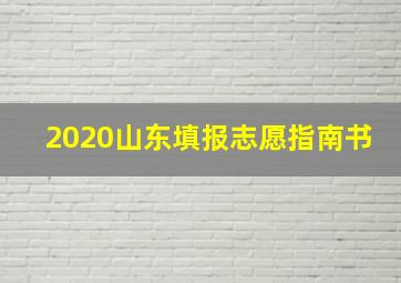 2020山东填报志愿指南书